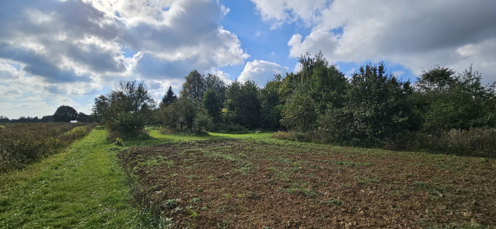 Działka Sprzedaż Motycz 13