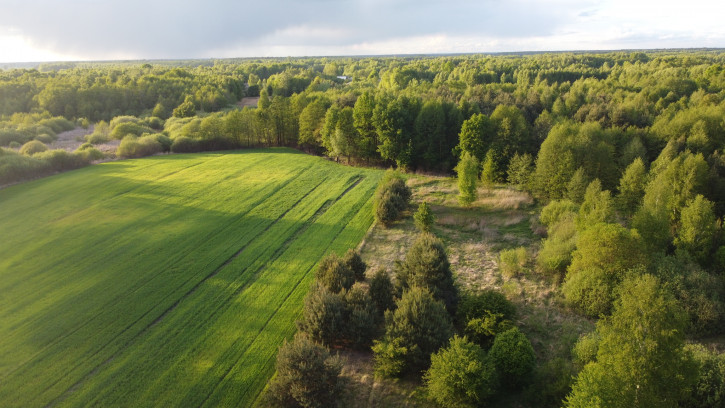 Działka Sprzedaż Nowy Kawęczyn 7