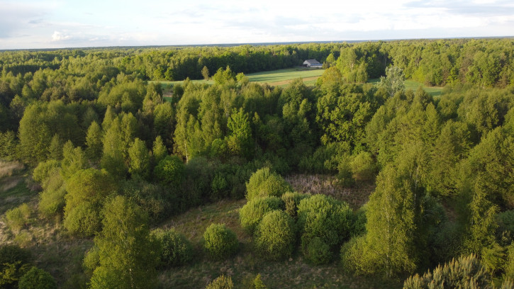 Działka Sprzedaż Nowy Kawęczyn 9