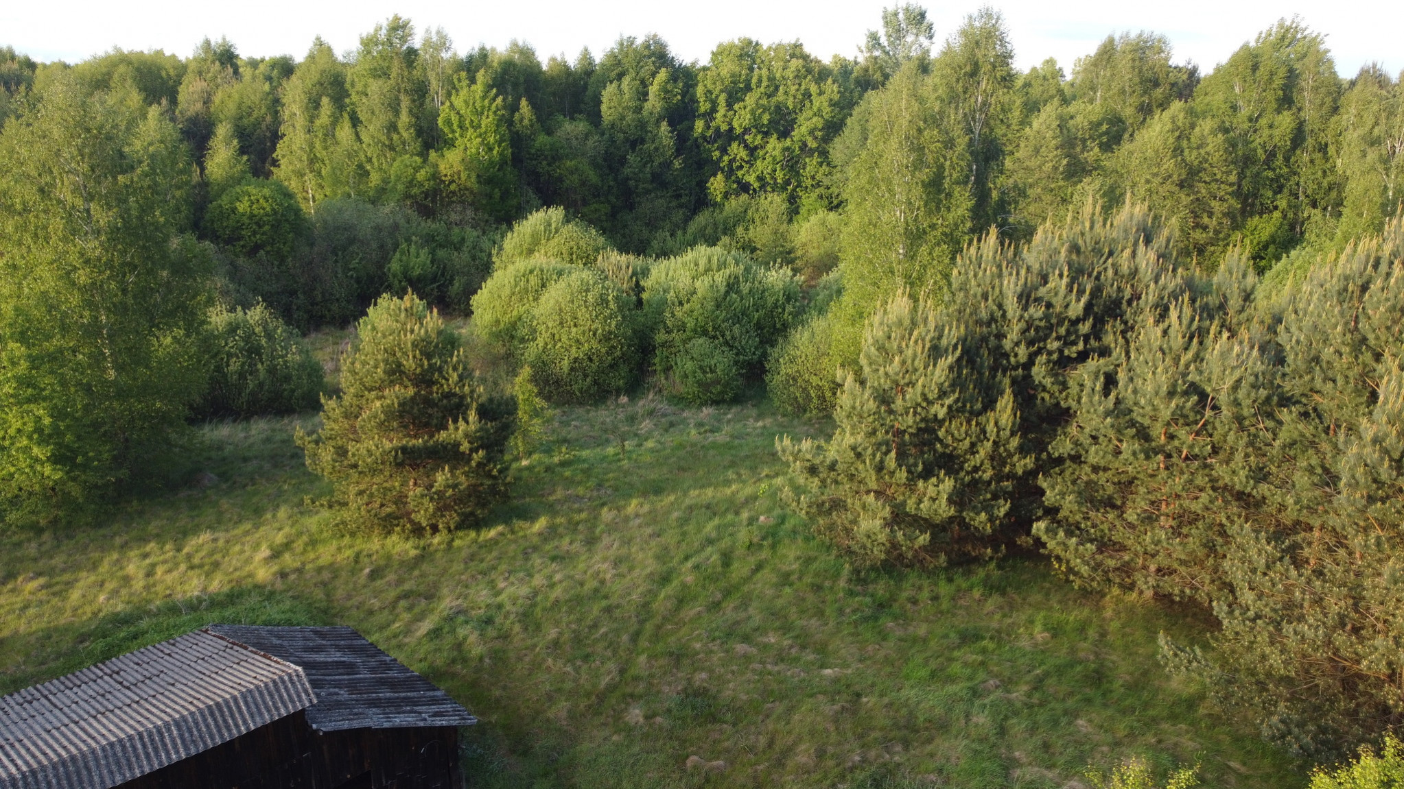 Działka Sprzedaż Karolów
