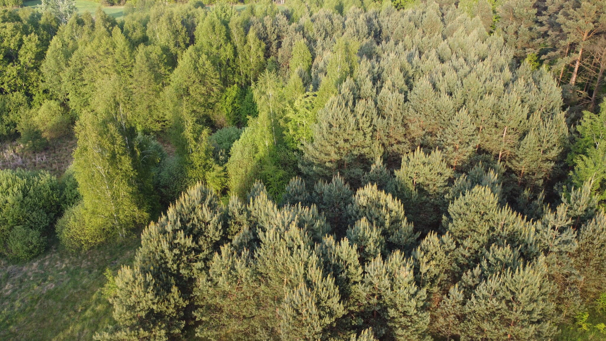 Działka Sprzedaż Karolów