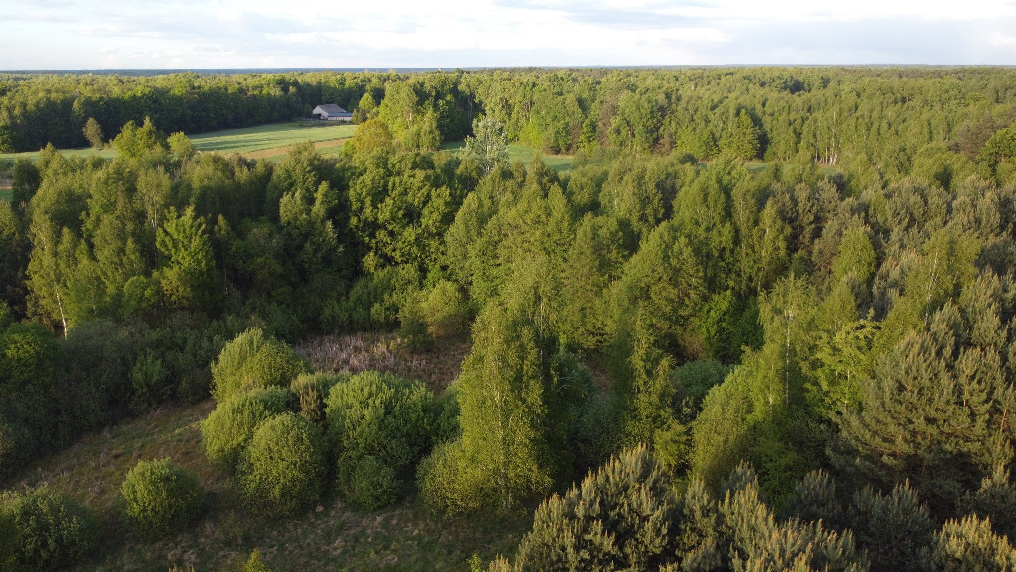 Działka Sprzedaż Karolów