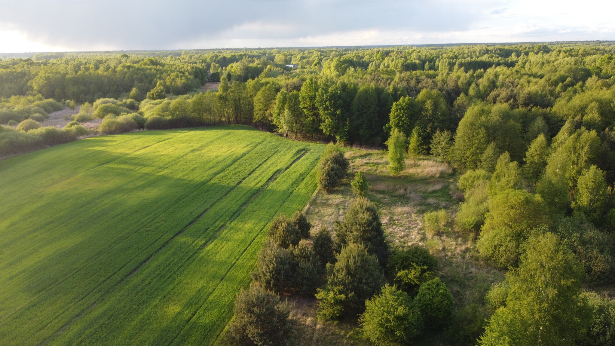Działka Sprzedaż Karolów
