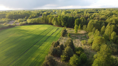 Działka Sprzedaż Karolów
