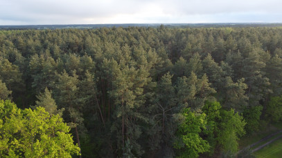 Działka Sprzedaż Karolów