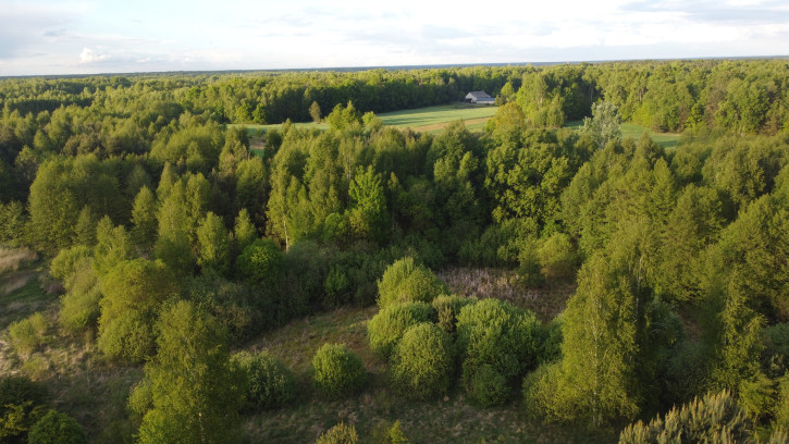 Działka Sprzedaż Karolów 24