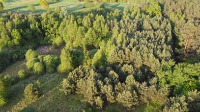 Działka Sprzedaż Karolów