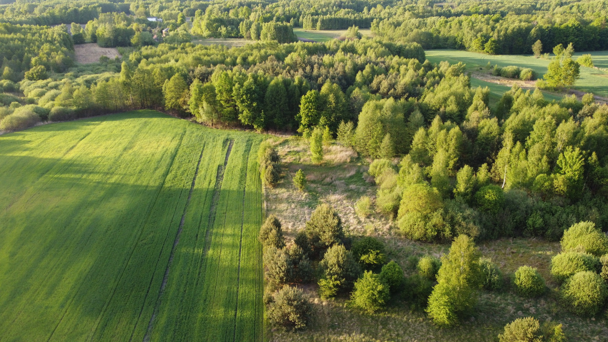 Działka Sprzedaż Karolów