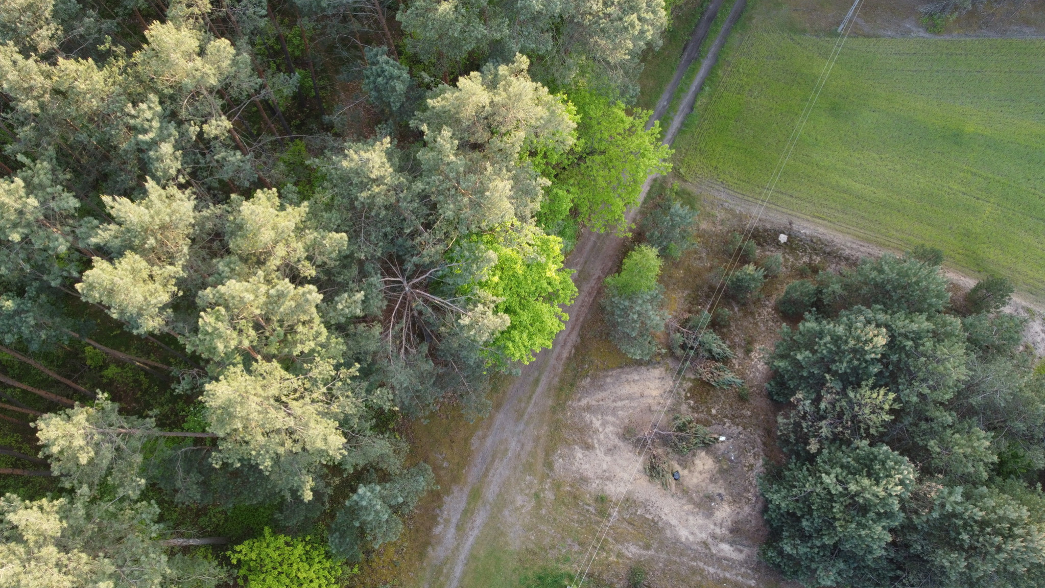 Działka Sprzedaż Karolów