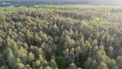 Działka Sprzedaż Karolów