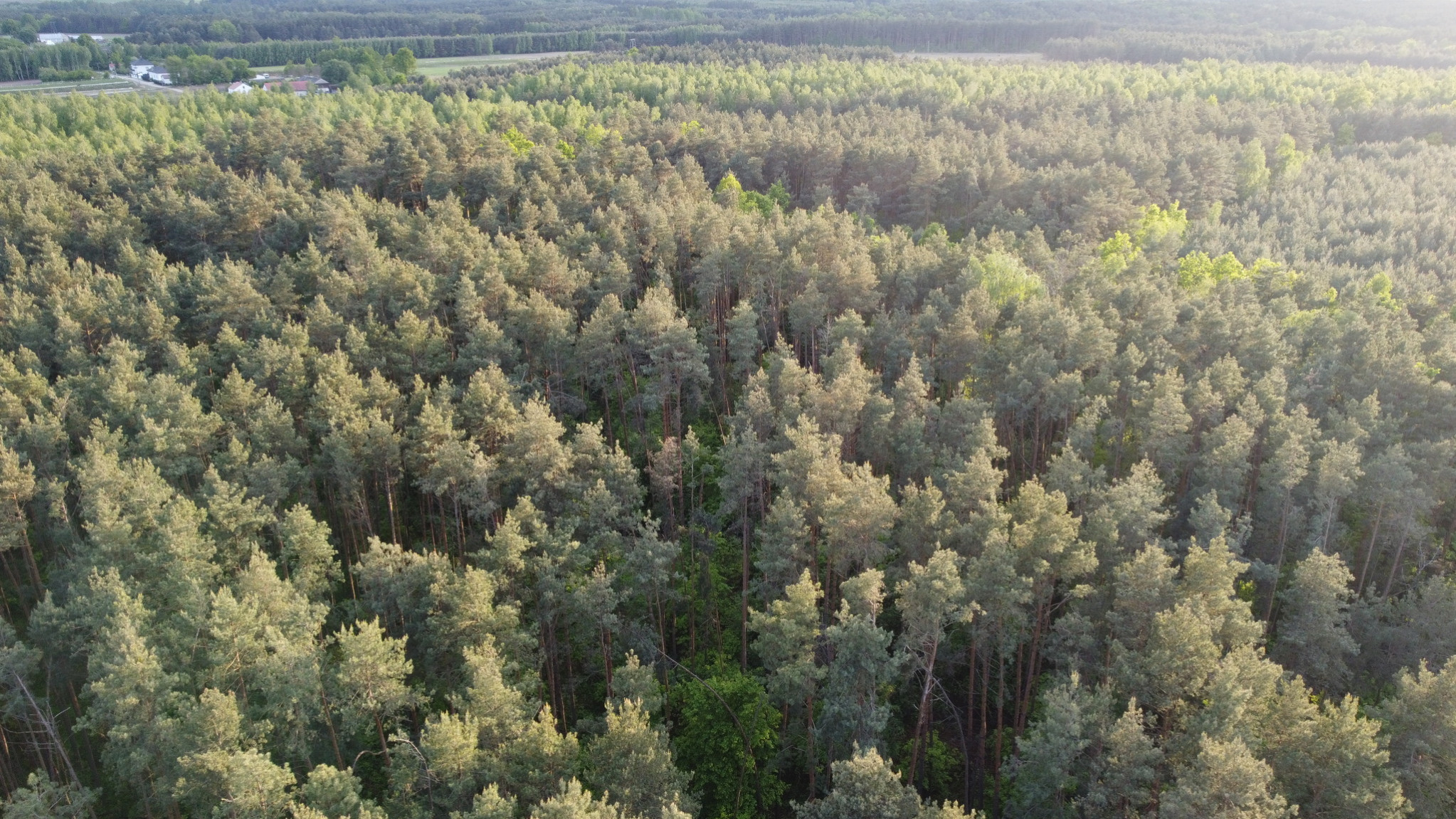 Działka Sprzedaż Karolów