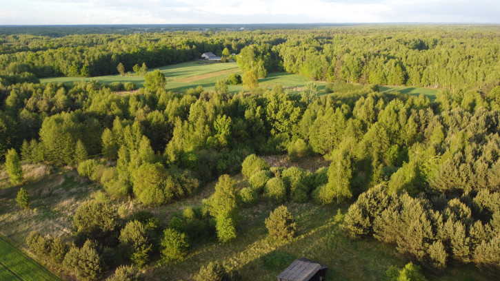 Działka Sprzedaż Karolów 28