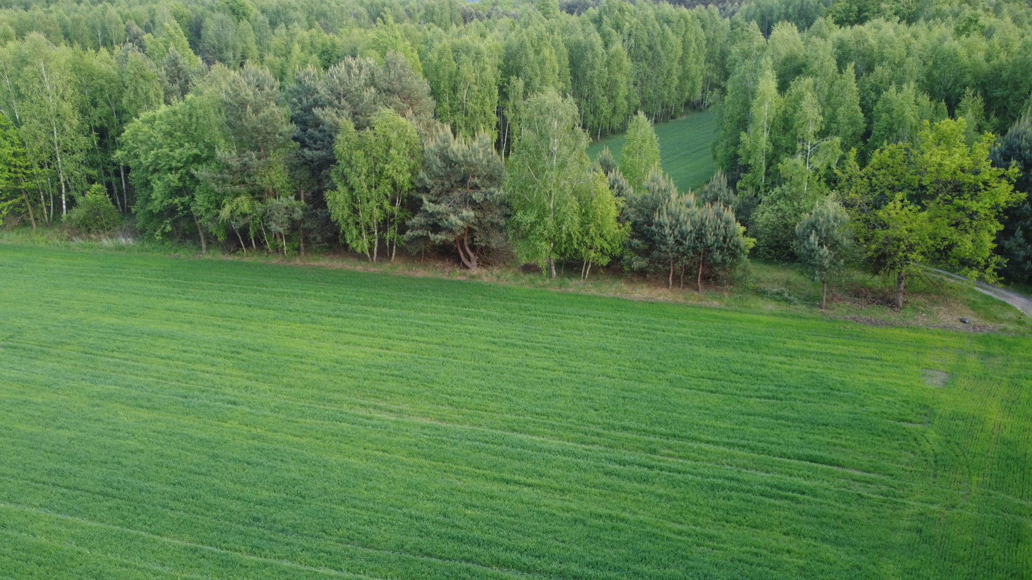 Działka Sprzedaż Karolów