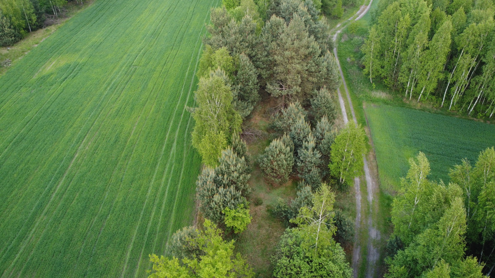 Działka Sprzedaż Karolów