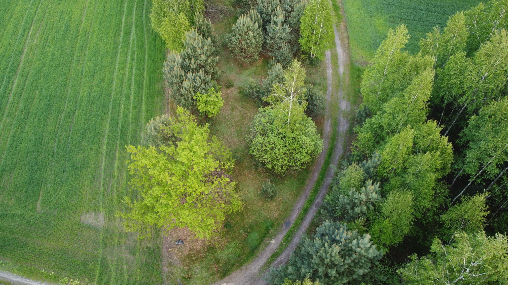 Działka Sprzedaż Karolów