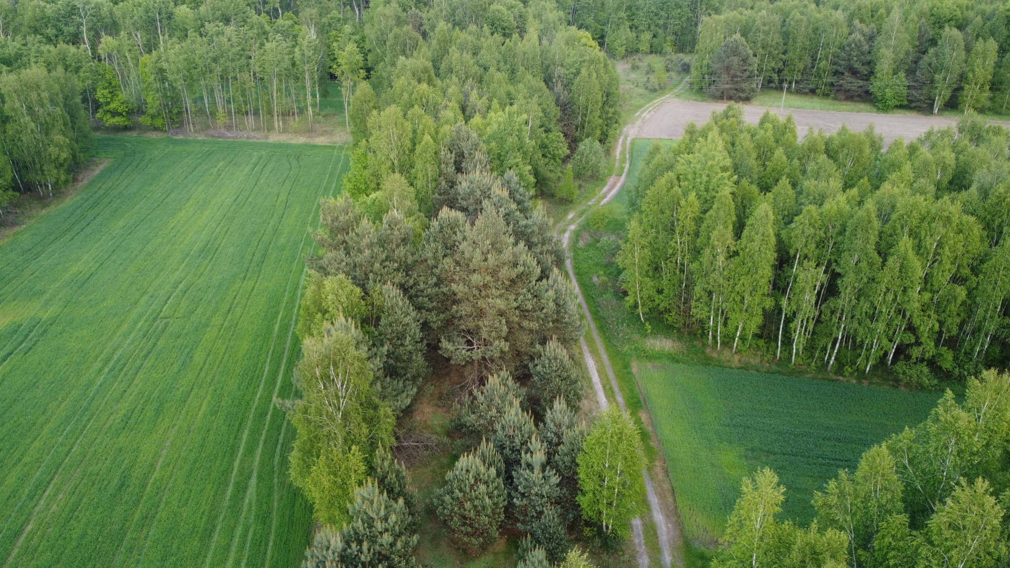 Działka Sprzedaż Karolów