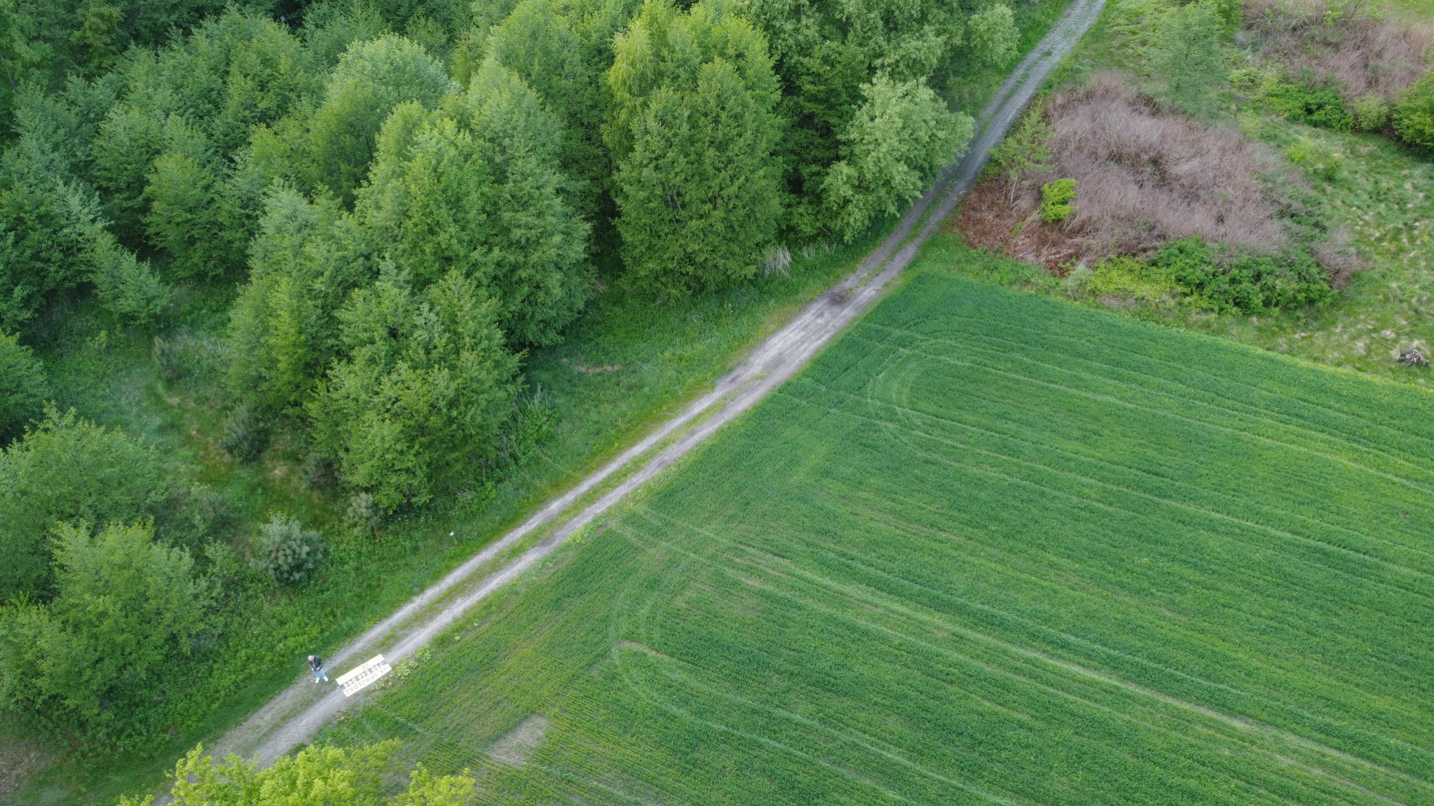 Działka Sprzedaż Karolów