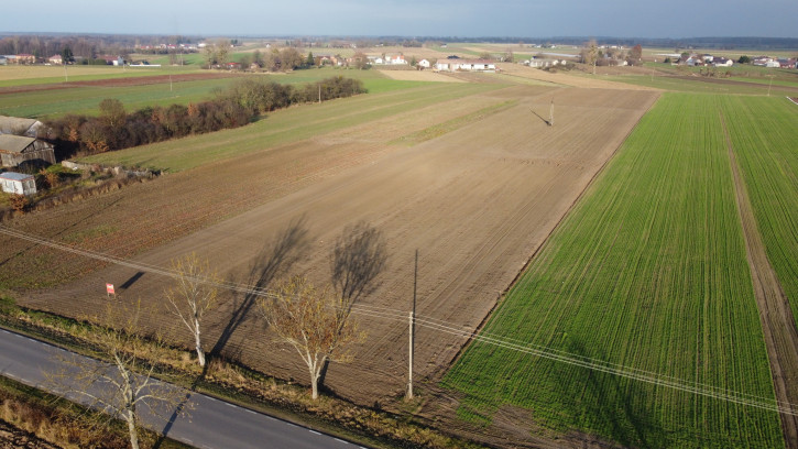 Działka Sprzedaż Helenów 3