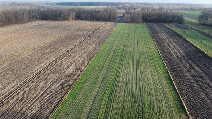 Działka Sprzedaż Jabłonów 6