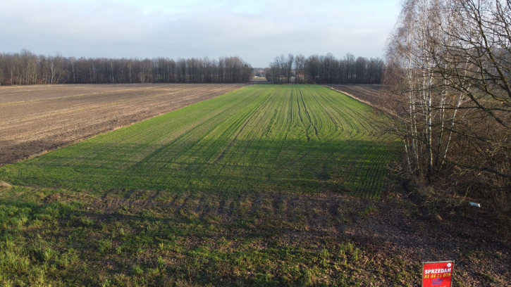 Działka Sprzedaż Jabłonów 7