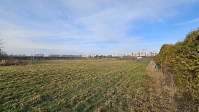 Działka Sprzedaż Kalinówka