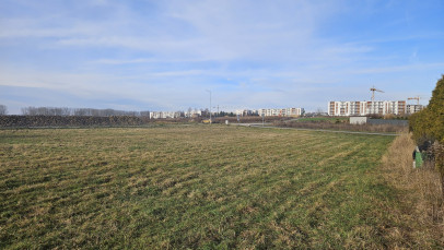 Działka Sprzedaż Kalinówka