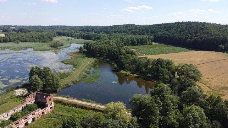 Działka Sprzedaż Celejów 3