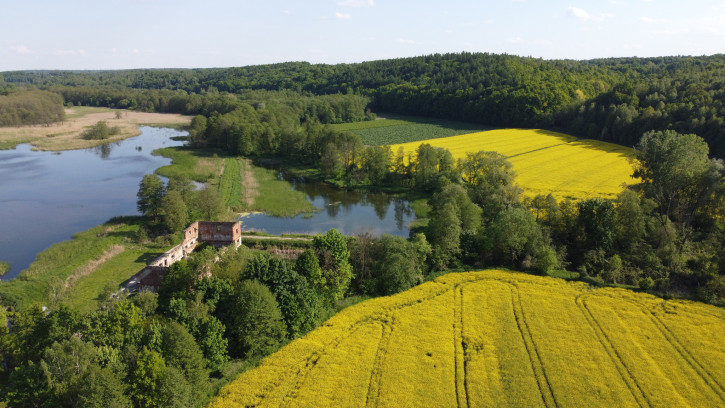 Działka Sprzedaż Celejów 8