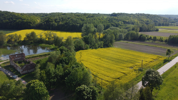 Działka Sprzedaż Celejów 30