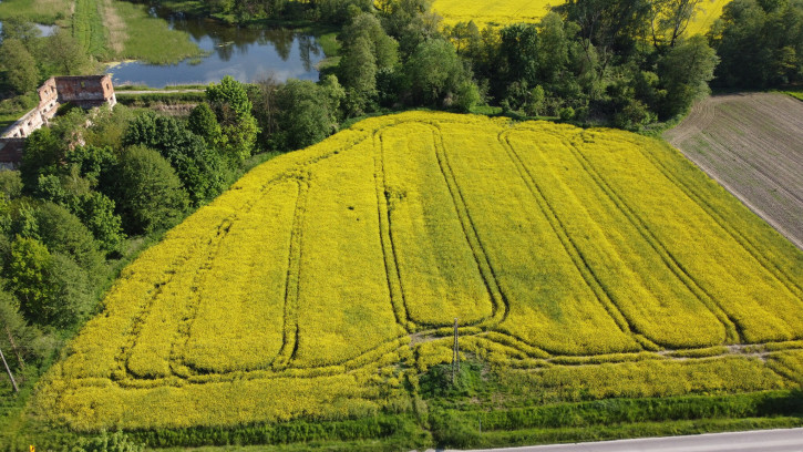 Działka Sprzedaż Celejów 31