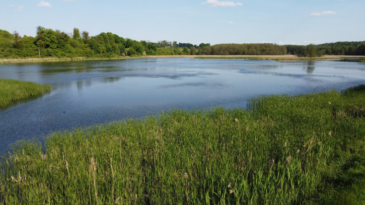 Działka Sprzedaż Celejów 34