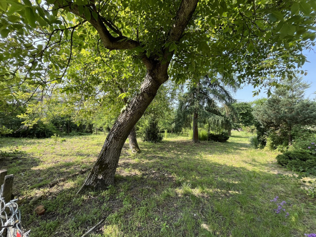 Działka Sprzedaż Kaliszany-Kolonia 5