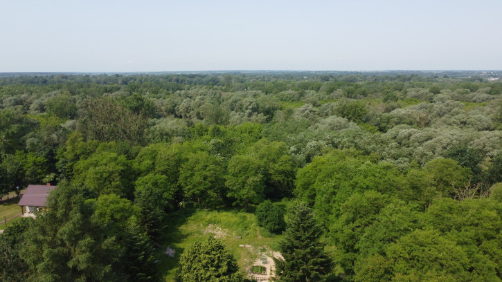 Działka Sprzedaż Kaliszany-Kolonia 8