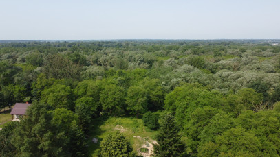 Działka Sprzedaż Kaliszany-Kolonia