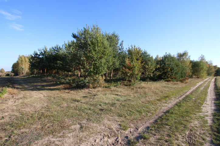 Działka Sprzedaż Kozioł 8