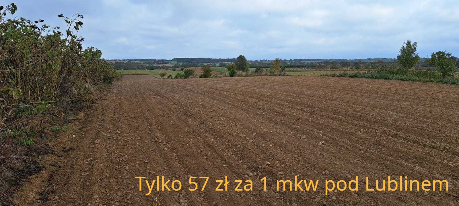 Działka Sprzedaż Panieńszczyzna