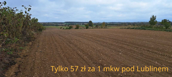Działka Sprzedaż Panieńszczyzna 1
