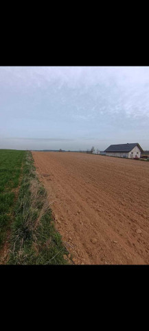Działka Sprzedaż Panieńszczyzna 5