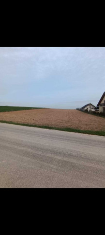 Działka Sprzedaż Panieńszczyzna 6