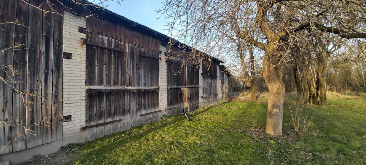 Dom Sprzedaż Trzciniec 7