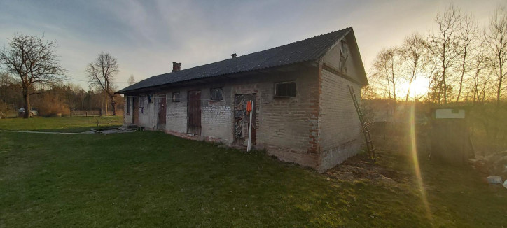 Dom Sprzedaż Trzciniec 10