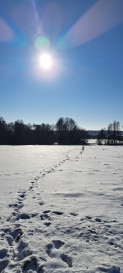 Działka Sprzedaż Żminne