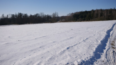 Działka Sprzedaż Żminne