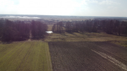 Działka Sprzedaż Żminne