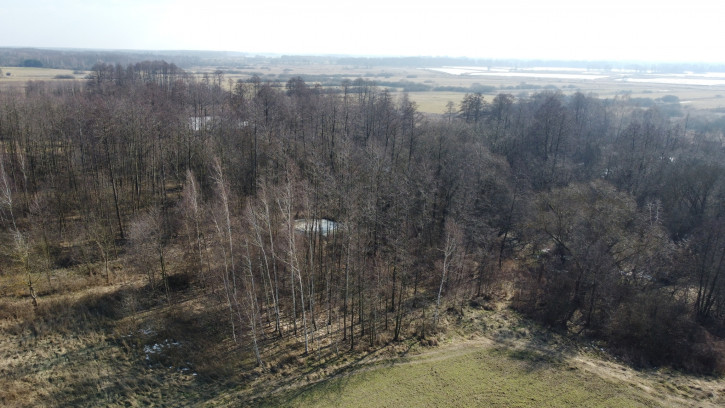 Działka Sprzedaż Żminne 11