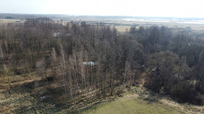 Działka Sprzedaż Żminne