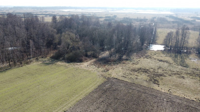 Działka Sprzedaż Żminne