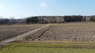 Działka Sprzedaż Żminne