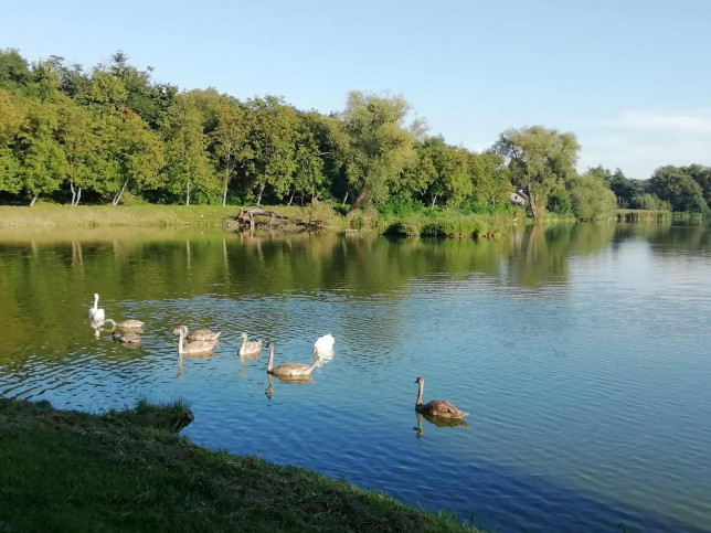 Działka Sprzedaż Klementowice 6