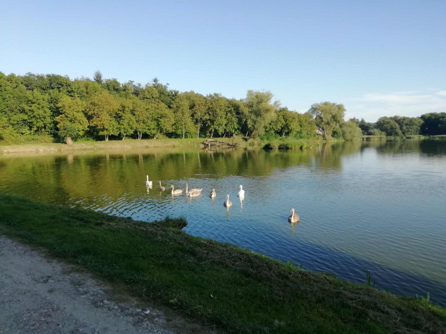 Działka Sprzedaż Klementowice 7